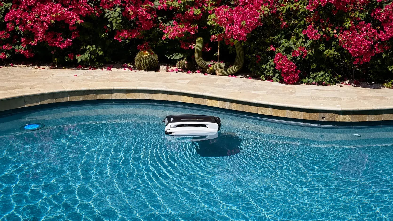 Betta SE robotic pool skimmer floating in a Scottsdale pool near bougainvillea planting.