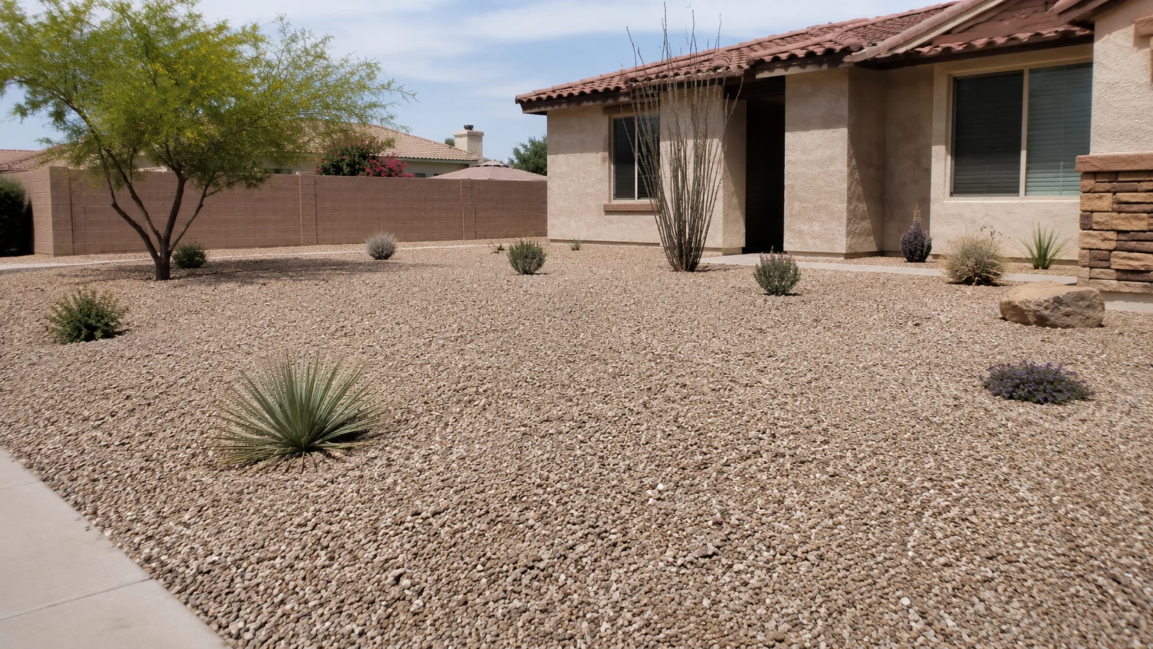 Sparse xeriscape yard with small isolated plants spread across too much gravel.