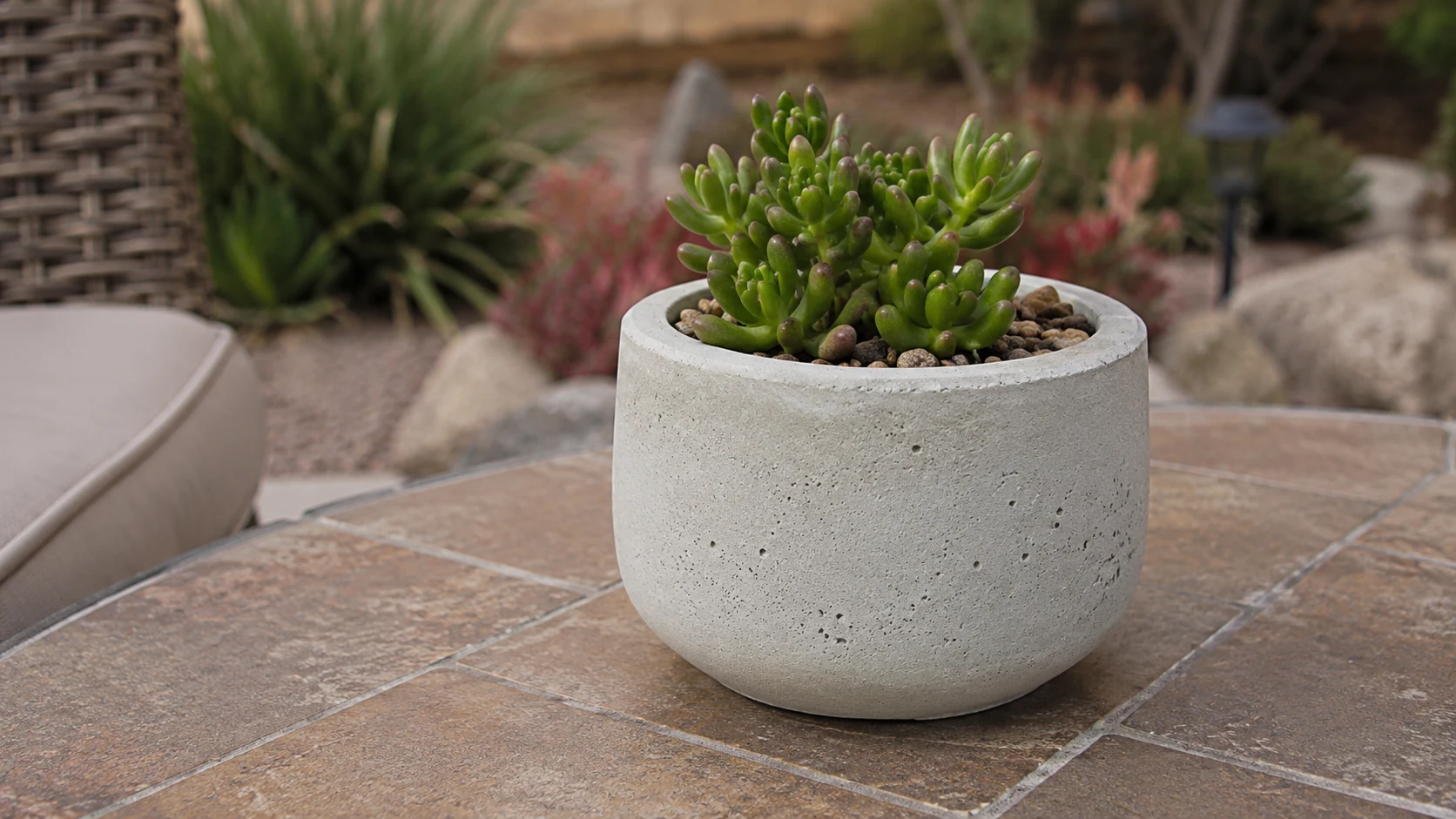 Small handmade concrete planter on a patio with realistic concrete texture.
