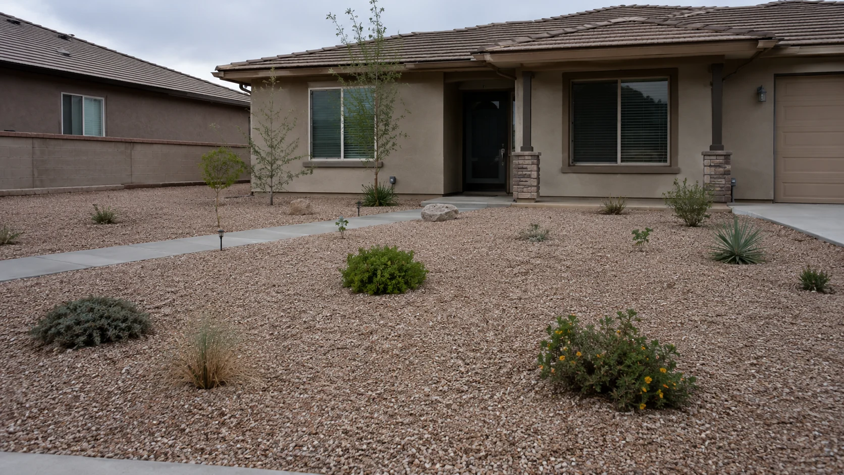 Sparse xeriscape yard with small isolated plants spread across too much gravel.