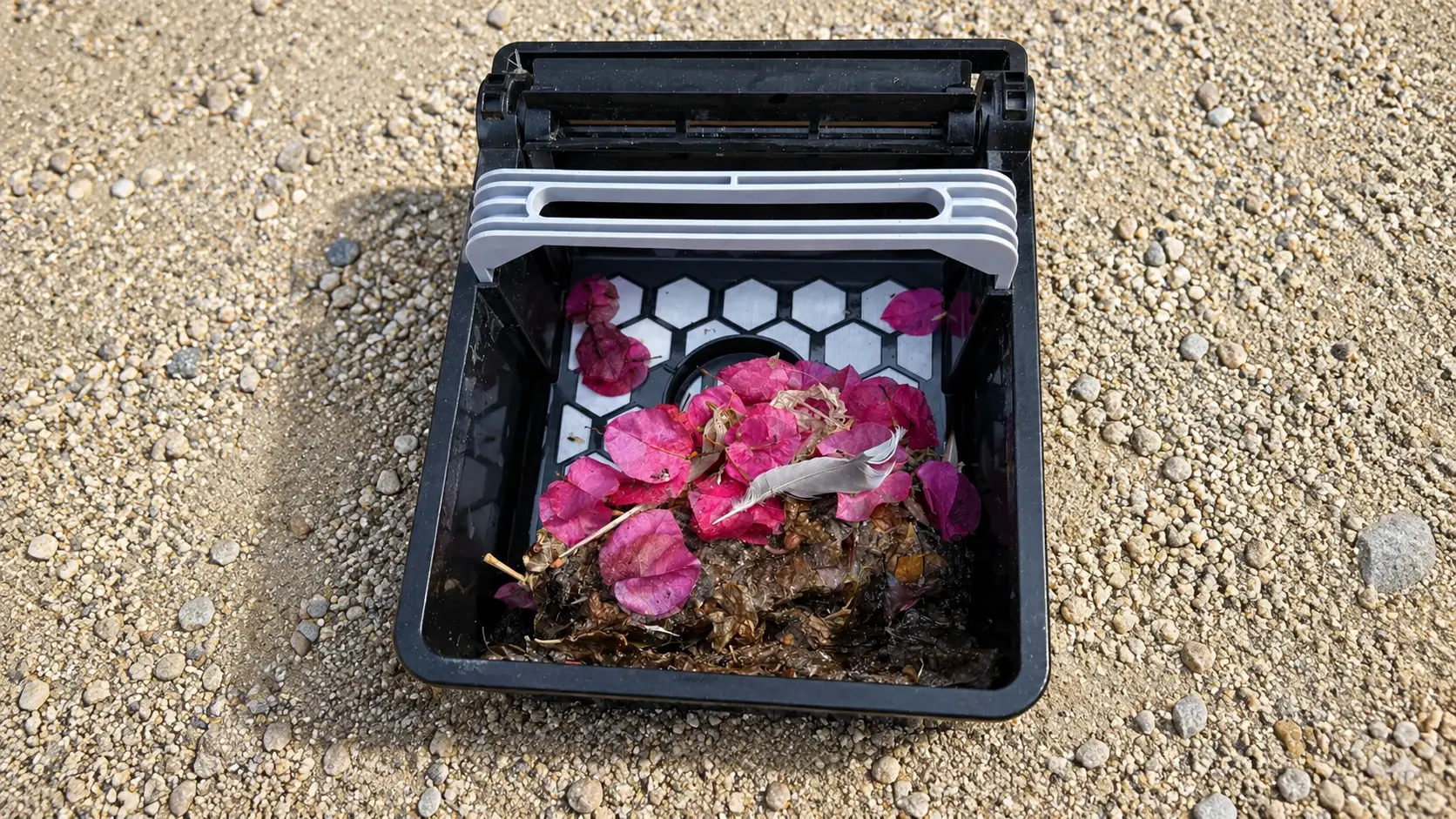 Debris basket from a Betta SE pool skimmer filled with bougainvillea bracts and pool debris.