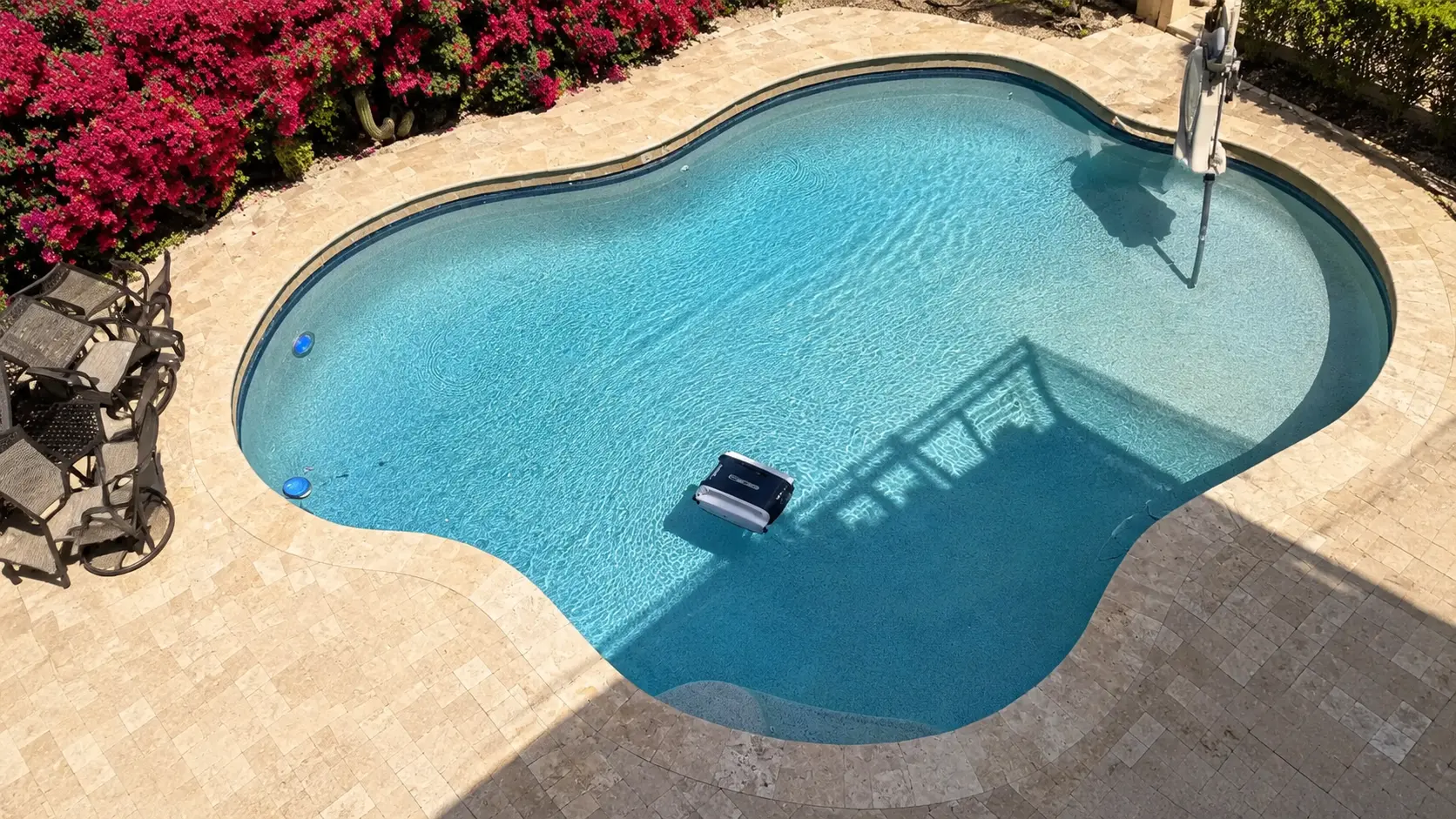 Top-down view of a Scottsdale sports pool with a Betta SE skimmer on the water surface.